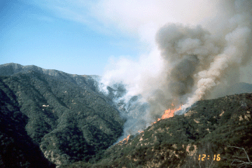 [Photo]: Fire run in Lodi Canyon